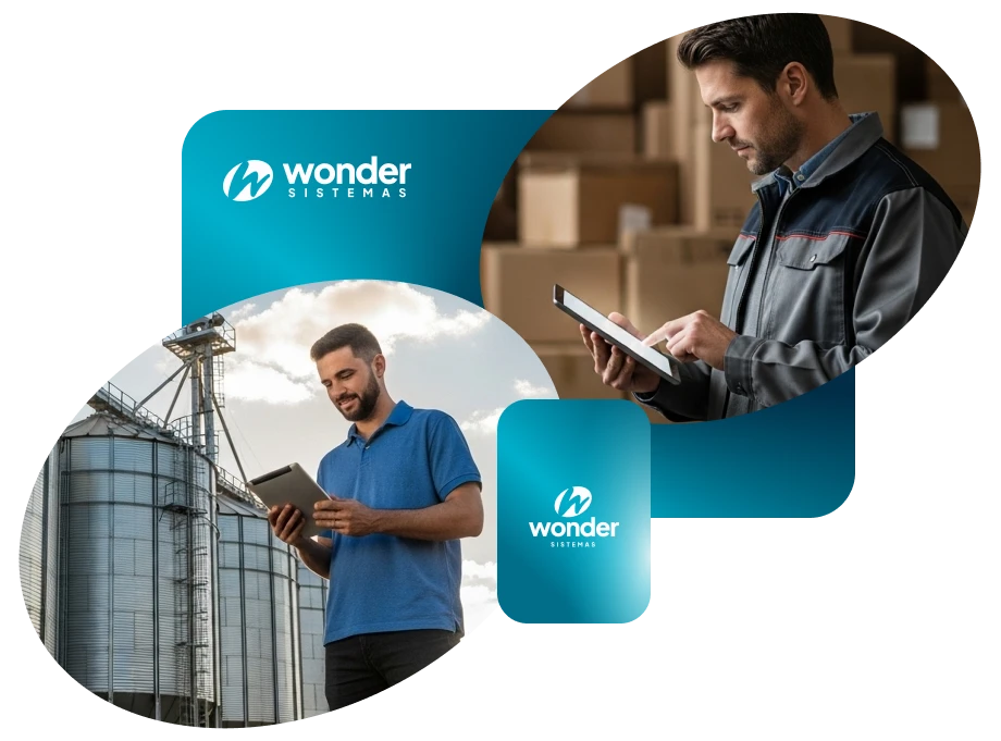 Wonder segmentos