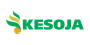 Kesoja